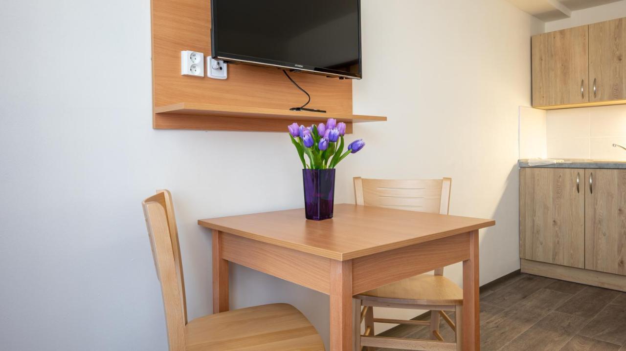 Apartmany A Studia Zamecky Park Litvínov エクステリア 写真
