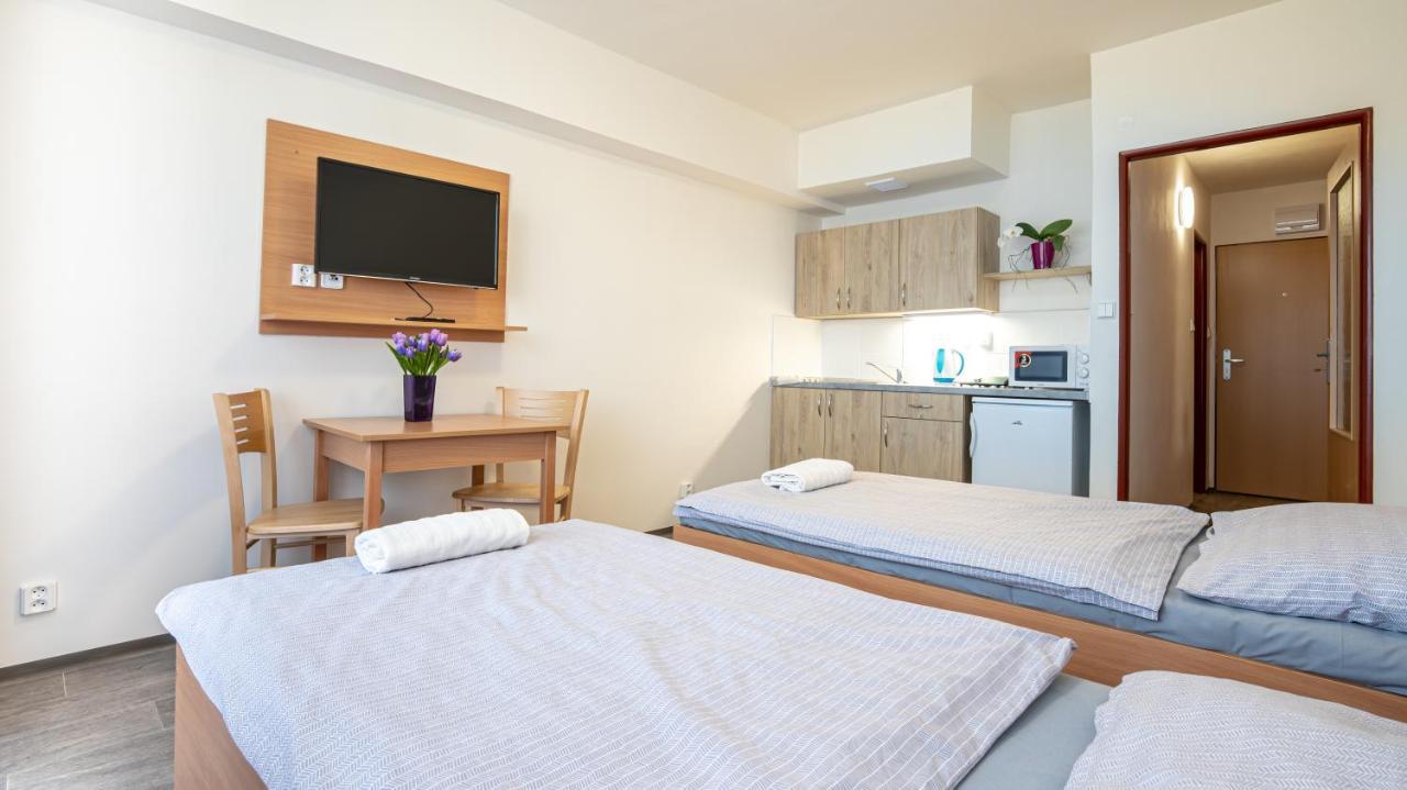 Apartmany A Studia Zamecky Park Litvínov エクステリア 写真