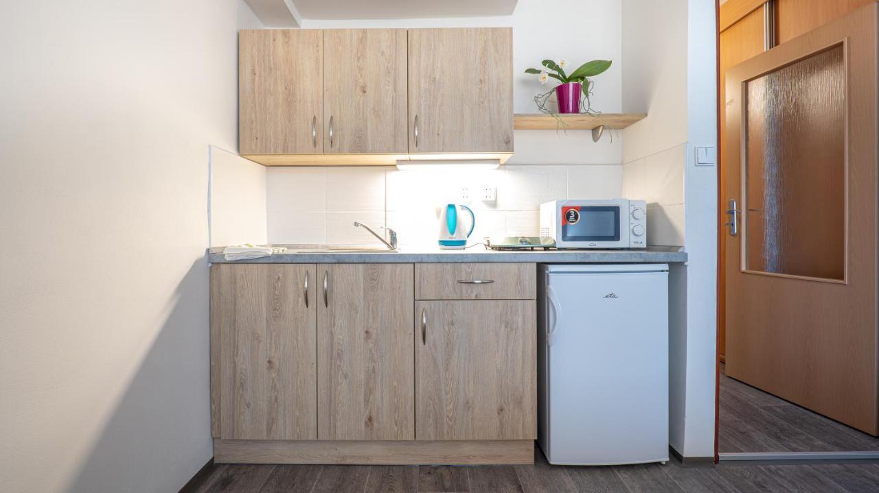 Apartmany A Studia Zamecky Park Litvínov エクステリア 写真